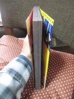 クイック・ジャパン Vol.9 特集「サニーデイ・サービスと90年代フォークの世界」