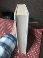 空像としての世界 : ホログラフィをパラダイムとして