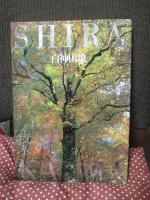 白神山地 SHIRAKAMI
