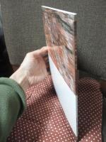 中世の城・都市・建築 ＜平成15-19年度特定領域研究 (2) 中世考古学の総合的研究 : 計画研究A01-1班中世拠点城郭および都市の分析方法に関する学融合的研究 : 中間報告＞