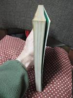 近親相姦 : 総特集