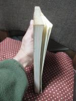 精神分裂病 : 文明の中の人間存在 : 総特集