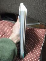 BIG GREEN BOOK (ビッグ・グリーン・ブック)