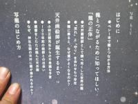 写龍　しあわせの龍を呼ぶ本