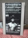 Anthropology as Cultural Critique: An Experimental Moment in the Human Sciences