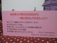 新島襄の愛した石たち