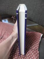 マルコ伝