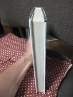 表象の光学