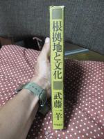 根拠地と文化 : 第三世界との合流を求めて