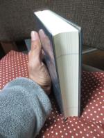 岩波漢詩紀行辞典