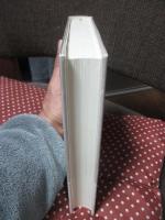 日本人の漢詩 : 風雅の過去へ