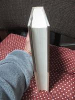 わが友マキアヴェッリ : フィレンツェ存亡