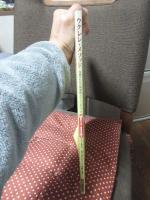 ウクレレ・メソッド：各指のための効果的トレーニング・ブック (模範演奏CD付)