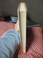 朝はだんだん見えてくる