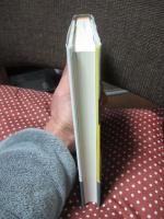 アドルノ批判のプリズム