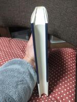 境界の「言語」 : 地球化/地域化のダイナミクス