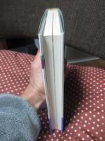 評論なんかこわくない