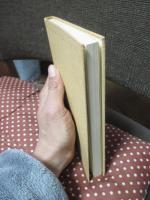 中国詩人選集二集 第14巻 「キョウ自珍」