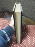 レヴィンの水車