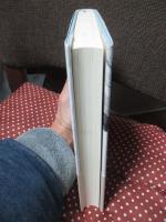 トランスナショナル・コミュニティ:場所形成とアイデンティティの都市社会学