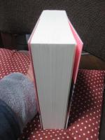 ギャップ・ピンクセオリー (タイGL.com)