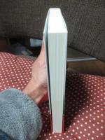 明治の大獄　 尊王攘夷派の反政府運動と弾圧