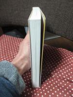 地上を歩く神 : ヨハネ福音書の思想と信仰