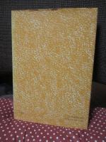 ユダヤ人イエス : 一歴史家の見た福音書