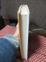 ユダヤ人イエス : 一歴史家の見た福音書