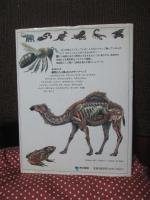 動物の体内をさぐる