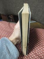 イエスの方舟 : 同乗漂流