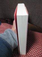 フラット・カルチャー : 現代日本の社会学