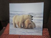 星野道夫展 : Alaska星のような物語