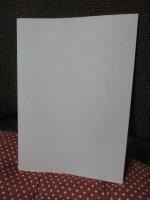 上越市史研究 第8号 「特集：上越市の自然環境, ホタル等」