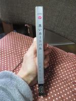 黒いカーニバル