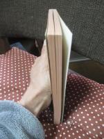 最終戦争の目撃者