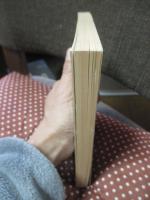 魔法つかいの夏