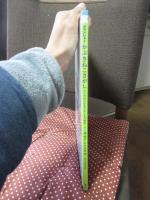 どこじゃ? かぶきねこさがし かぶきがわかるさがしもの絵本 (講談社の創作絵本シリーズ)