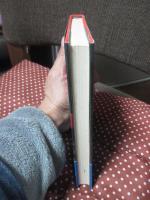 スカイラインに賭けた男たち