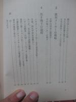 世界小型車戦争