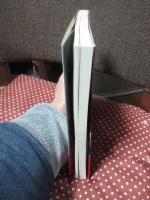 群れの場景 <is別冊>