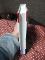 希望格差社会 : 「負け組」の絶望感が日本を引き裂く