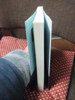 学齢期の子育て支援 : PECCK(ペック)講座の開発・実践・効果