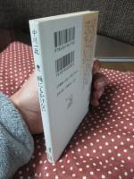 画にもかけない : 随筆