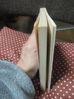 画にもかけない : 随筆