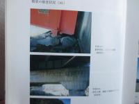 平成6年　北海道東方沖地震 被害調査報告書