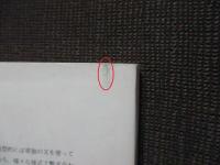 機能的普遍統語論とその展開