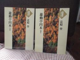 「遊動亭円木　(大活字本シリーズ)　上巻・下巻」　全2冊セット