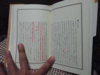 イメージの図像学 : 反転する視線