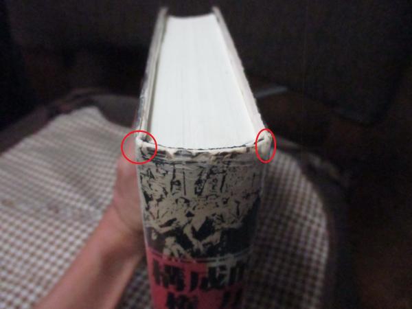 構成的権力 : 近代のオルタナティブ(アントニオ・ネグリ 著 ; 杉村昌昭